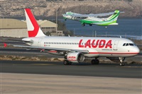 ©Adolfo Bento - Gran Canaria Spotters. Click to see full size photo ©Adolfo Bento - Gran Canaria Spotters. Click to see full size photo