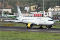 ©Alfonso Solís - Asociación Canary Islands Spotting. Click to see full size photo ©Alfonso Solís - Asociación Canary Islands Spotting. Click to see full size photo