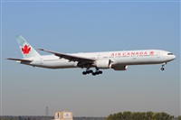 Miguel A. gueda Rguez.  (CANARY ISLANDS SPOTTING). Click to see full size photo