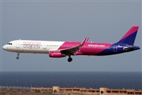 ©Alfonso Solís - Asociación Canary Islands Spotting. Click to see full size photo ©Alfonso Solís - Asociación Canary Islands Spotting. Click to see full size photo