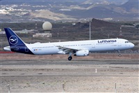 Miguel A. gueda Rguez.  (CANARY ISLANDS SPOTTING). Click to see full size photo