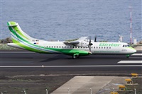 ©Luis Rguez - La Palma Spotting. Click to see full size photo ©Luis Rguez - La Palma Spotting. Click to see full size photo