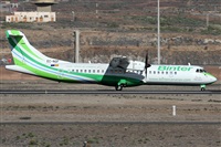 ©Alfonso Solís - Asociación Canary Islands Spotting. Click to see full size photo ©Alfonso Solís - Asociación Canary Islands Spotting. Click to see full size photo