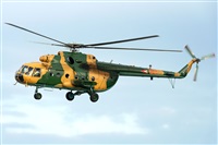 Tams. Click to see full size photo