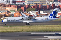 Miguel A. gueda Rguez.  (CANARY ISLANDS SPOTTING). Haz click para ampliar