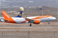 Miguel A. gueda Rguez.  (CANARY ISLANDS SPOTTING). Click to see full size photo