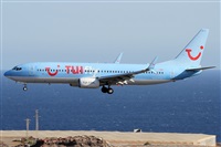 ©Alfonso Solís - Asociación Canary Islands Spotting. Click to see full size photo ©Alfonso Solís - Asociación Canary Islands Spotting. Click to see full size photo