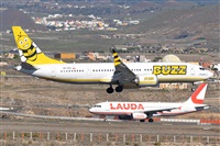 Miguel A. gueda Rguez.  (CANARY ISLANDS SPOTTING). Click to see full size photo