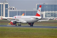 Miguel A. gueda Rguez.  (CANARY ISLANDS SPOTTING). Click to see full size photo