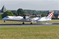 Miguel A. gueda Rguez.  (CANARY ISLANDS SPOTTING). Click to see full size photo