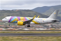 Miguel A. gueda Rguez.  (CANARY ISLANDS SPOTTING). Click to see full size photo