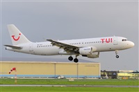 Miguel A. gueda Rguez.  (CANARY ISLANDS SPOTTING). Click to see full size photo