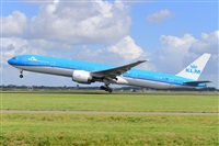 Miguel A. gueda Rguez.  (CANARY ISLANDS SPOTTING). Click to see full size photo