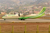 Miguel A. gueda Rguez.  (CANARY ISLANDS SPOTTING). Haz click para ampliar