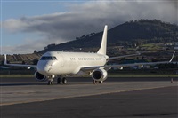 ©Daniel Santos Batista - Canary Islands Spotting. Click to see full size photo ©Daniel Santos Batista - Canary Islands Spotting. Click to see full size photo
