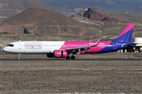 ©Alfonso Solís - Asociación Canary Islands Spotting. Click to see full size photo ©Alfonso Solís - Asociación Canary Islands Spotting. Click to see full size photo