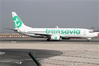 ©Alfonso Solís - Asociación Canary Islands Spotting. Click to see full size photo ©Alfonso Solís - Asociación Canary Islands Spotting. Click to see full size photo