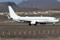 Alfonso Sols - Asociacin Canary Islands Spotting. Click to see full size photo
