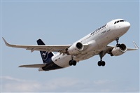 ©Alfonso Solís - Asociación Canary Islands Spotting. Click to see full size photo ©Alfonso Solís - Asociación Canary Islands Spotting. Click to see full size photo