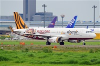 Miguel A. gueda Rguez.  (CANARY ISLANDS SPOTTING). Click to see full size photo