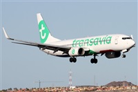 ©Alfonso Solís - Asociación Canary Islands Spotting. Click to see full size photo ©Alfonso Solís - Asociación Canary Islands Spotting. Click to see full size photo