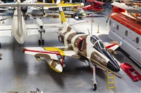 ©Luis. Click to see full size photo ©Luis. Click to see full size photo