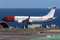 ©Adolfo Bento - Gran Canaria Spotters. Click to see full size photo ©Adolfo Bento - Gran Canaria Spotters. Click to see full size photo