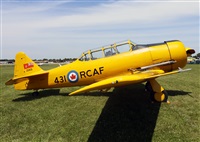 ©Javier Rodríguez. Click to see full size photo ©Javier Rodríguez. Click to see full size photo