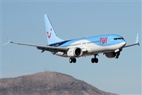 �Alfonso Sol�s - Asociaci�n Canary Islands Spotting. Click to see full size photo