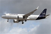 �Alfonso Sol�s - Asociaci�n Canary Islands Spotting. Click to see full size photo