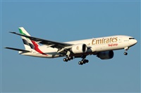 �Guillermo Garc�a del Alamo. Click to see full size photo