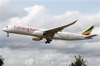 �Alfonso Sol�s - Asociaci�n Canary Islands Spotting. Click to see full size photo