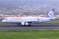 �Miguel A. �gueda Rguez.  (CANARY ISLANDS SPOTTING). Click to see full-size photo