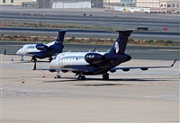 ©Alejandro H.L - Gran Canaria Spotters. Click to see full size photo ©Alejandro H.L - Gran Canaria Spotters. Click to see full size photo