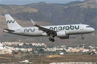 �Adolfo Bento - Gran Canaria Spotters. Click to see full size photo
