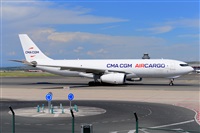 �Miguel A. �gueda Rguez.  (CANARY ISLANDS SPOTTING). Click to see full size photo