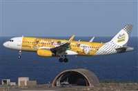 ©Adolfo Bento - Gran Canaria Spotters. Click to see full size photo ©Adolfo Bento - Gran Canaria Spotters. Click to see full size photo
