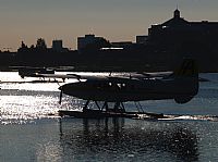 Melvin Pereira - Iberian Spotter. Click to see full size photo