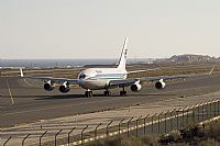 Javier de la Cruz - CANARY ISLANDS SPOTTING. Click to see full size photo