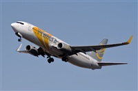 Javier de la Cruz - CANARY ISLANDS SPOTTING. Click to see full size photo