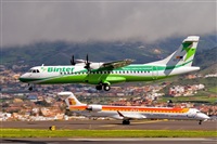 Javier de la Cruz - CANARY ISLANDS SPOTTING. Click to see full size photo