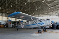 Rui Guerreiro - www.portugalspotters.org. Click to see full size photo