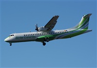 Gerardo A. Prez   Canary Islands Spotting. Click to see full size photo