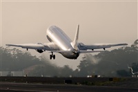 ©Javier de la Cruz - CANARY ISLANDS SPOTTING. Click to see full size photo ©Javier de la Cruz - CANARY ISLANDS SPOTTING. Click to see full size photo