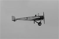 Rodrigo Carvalho - Noisy Spotters. Click to see full size photo