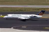 Javier de la Cruz - CANARY ISLANDS SPOTTING. Click to see full size photo