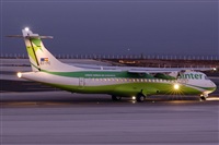 Luciano Fumero( freedom spotter)canary island spotting. Click to see full size photo