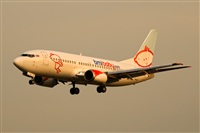 Javier de la Cruz - CANARY ISLANDS SPOTTING. Click to see full size photo