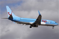 Alfonso Sols - Asociacin Canary Islands Spotting. Click to see full size photo