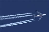 Rodrigo Carvalho - Noisy Spotters. Click to see full size photo